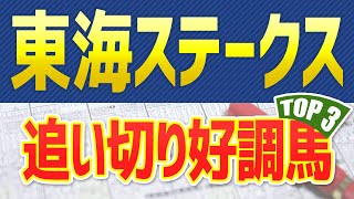 【東海ステークス2023】追い切り・調教が好評価だった「トップ3」はこの馬だ🐴 ～jra東海Sの競馬予想～