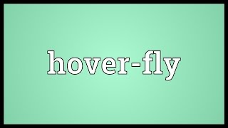 Hover-fly Meaning