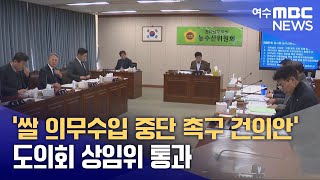 '쌀 의무수입 중단 촉구 건의안' 도의회 상임위 통과 (250206목/뉴스데스크)