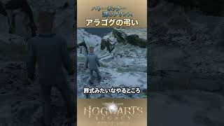 【ホグワーツレガシー】さらばアラゴグ！クモの王者よ！  #ホグワーツレガシー #hogwartslegacy  #ハリーポッター  #きゅうch