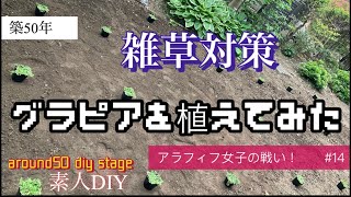 築50年　素人DIY アラフィフ女子の戦い！#14 グラピアK7植えてみた！