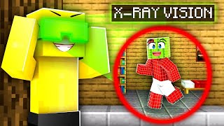 Using X Ray Vision To Cheat In Minecraft