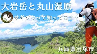 【大岩岳と丸山湿原】８月のお盆過ぎ、サギソウが咲いている兵庫県宝塚市の丸山湿原に行ってみたら、お山の景色もお花も楽しめました