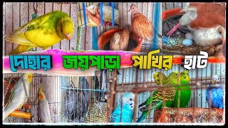 8-1-2025 পাখির হাট দোহার জয়পাড়া ।  Birds Price BD । Dhaka   Dohar Joypara