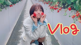 【Vlog】특히 딸￼기를 좋아해요￼♡