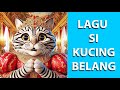 Meong belang #lagu  #lirik