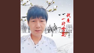 我是一片雪花