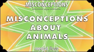 Misconceptions about Animals - mental_floss on YouTube (Ep. 55) | Mental Floss