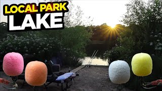 Summer Carp Fishing Vlog At A Local Park Lake With Our NEW Magic Bean Wafters