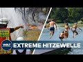 HITZE & TROCKENHEIT in Deutschland: Waldbrandgefahr hoch - Pegelstände tief