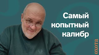 Правильный калибр. Валерий Кузенков о калибре для охоты на копытных.