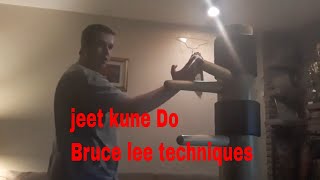Martial arts Bruce lee Jkd Techniques
