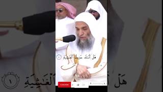 Surah Ghashiya Sheikh Faisal ghazawi ❤️#viral #islamic #most #recitation #beautiful #quran #alquran