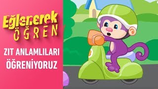 Eğitici Scooter ile Zıt Anlamlıları Öğreniyoruz | Eğlenerek Öğren