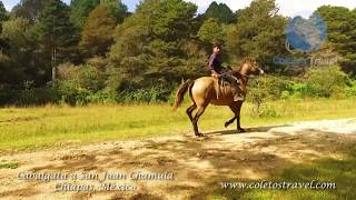 Tour Cabalgata a San Juan Chamula