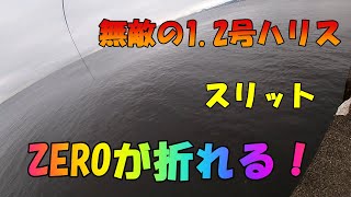 クロダイ落とし込み関西2021　NO.1-2　Japan black sea bream fishing  熟睡後はスリットにとどまり１０枚以上ハリス切れしながらチヌ１５枚とキビレ２枚を追加。