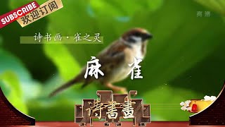 雀之灵·麻雀 杨万里一把火烧光了自己的所有作品，重新开创了属于自己的风格，《寒雀》就是“诚斋体”的代表作之一  |《诗书画》Becoming poetic 20200322【东方卫视官方频道】