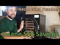 I Saved $280 Freeze Drying Peaches