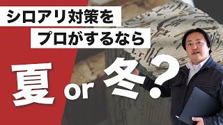 シロアリ対策にオススメの季節はいつ？プロが推奨するのは・・