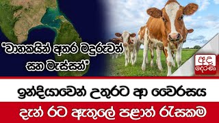 ඉන්දියාවෙන් උතුරට ආ වෛරසය... දැන් රට ඇතුලේ පළාත් රැසකම \