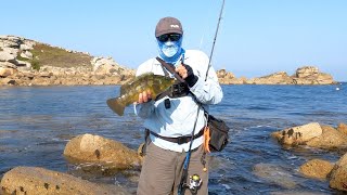 Wrasse fishing in paradise, Isles of Scilly