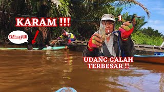 TEREKAM JELAS !! 100 PEMANCING BERBURU UDANG GALAH, 1 DIANTARANYA KARAM !! MANCING UDANG GALAH