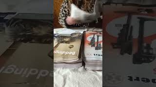 Papergirl as a Jaguar, folding the leaflets again ASMR