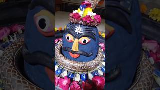 Shiv darshan #shrots #youtubeshorts #shiv #shiva #shivdarshan #shivshankar