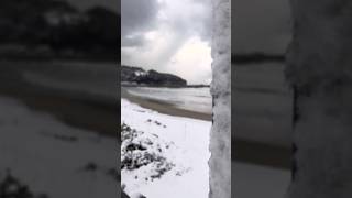 '25/2/8(土） 鳥取 あさ 海の様子 波情報 tottori japan #surfing #釣り #サーフィン