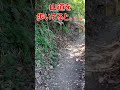 山道を歩いてると。。。熊って⁉️ 熊出没注意 看板 石川県 七尾市 shorts