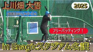 【2025 球春到来】上川畑 大悟・・・フリーバッティング！【北海道日ハムファイターズ】