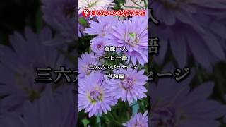 【斎藤一人】新一日一語366のメッセージ　#10月11日　#斎藤一人　#銀座まるかん　#まるかんのお店　#言霊　#開運　 #shorts