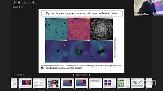 Naab T. (MPA): Galaxy simulations with resolved ISM