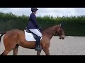 Second dressage outing - Intro 3 (2024) - 70.68% - 18th May 2025