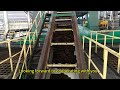 80tph palm oil mill