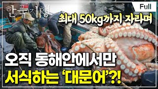 [Full] 한국기행 - 뭘 타고 떠나볼까~ 3부 환승 문어