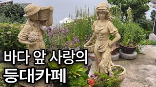 묵호등대카페 ,등대카페,도째비골스카이밸리, 동해시 등대카페,Ocean view와 전망좋은 등대카페, 파란지붕 등대모양의 루프탑,동해바다, 묵호 등대카페