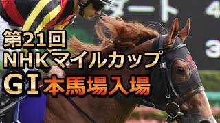 【2016】第21回NHKマイルカップ G1 本馬場入場～返し馬動画