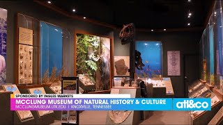 Ingles Open Road: McClung Museum of Natural History \u0026 Culture