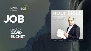 The Complete Holy Bible - NIVUK Audio Bible - 18 Job