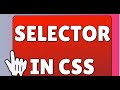 CSS  Selector ( Element Selector, ID Selector , Group Selector ,Universal Selector, Class Selector )