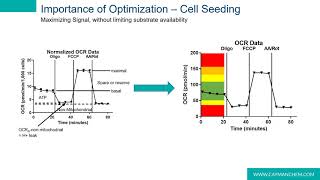 ​Tools for Characterizing Metabolic Change in Cell-Based Systems