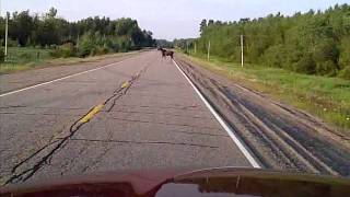 VID-20110627-00001