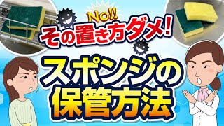 【スポンジの保管方法】菌数が〇〇倍に！？置き方でこんなに違うんです！