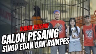 ANDRI BOLANG KAGET LIHAT AKSINYA! CALON PESAING SINGO EDAN DAN RAMPES