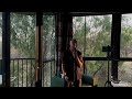 Samthing Soweto ~ Don’t wanna let Go | Full Cover 🍁