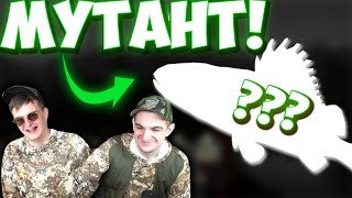 ЭВЕЛОН ПОЙМАЛ МУТАНТА! - Топ Моменты с Twitch