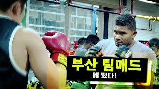 'UFC 헤비급 3위' 알리스타 오브레임, 부산 팀매드에 떴다!(feat. 김동현, 최두호, 함서희)