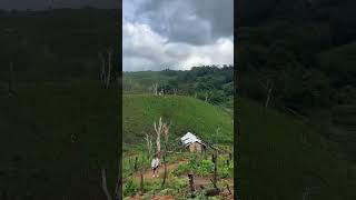 ~Mandalgre~ East Garo Hills Meghalaya 🏔️🍀 #shortvideo #shorts #mountains