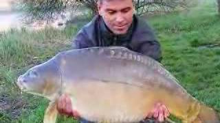 Big Carp 19.20 Kg Kozma Tamás www.gerezditavak.hu